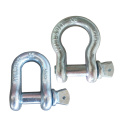 China customized carbon steel/stainless steel d-ring shackle